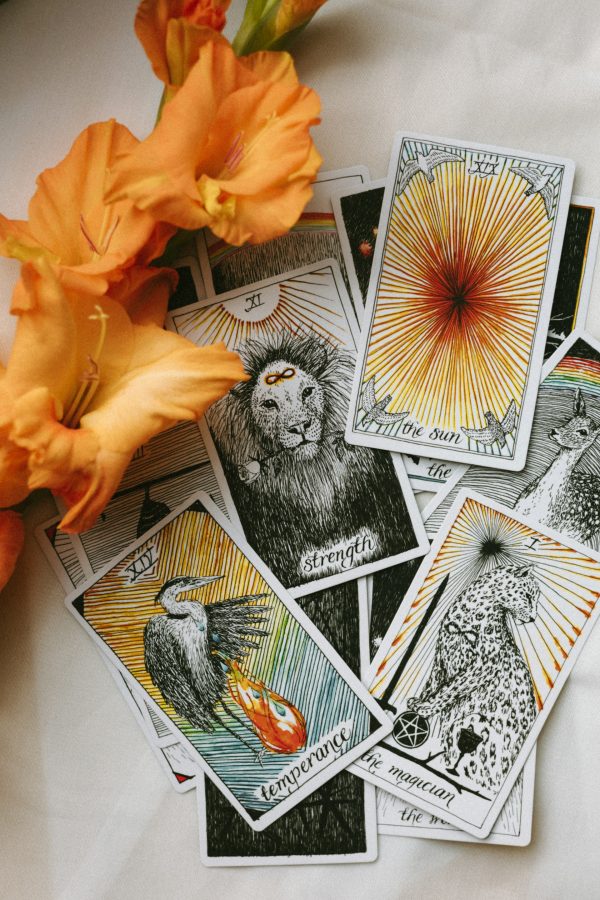 Tarot Tutor Session - PREVIEW - Image 5